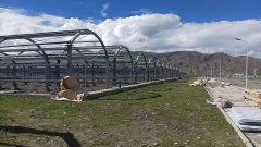 西藏项目工程案例